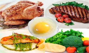 protein diet benefits and harms of weight loss